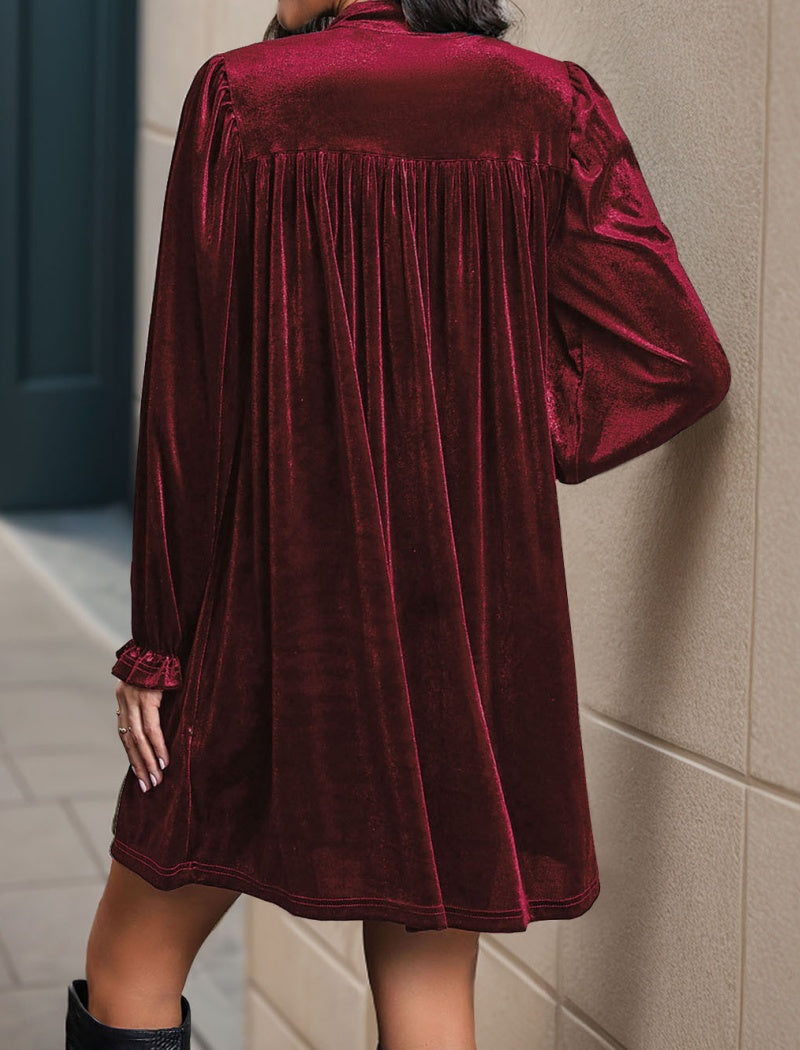 Valentine's Velvet Dress
