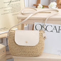 Magnetic Buckle Straw Mini Dumpling Phone Bag